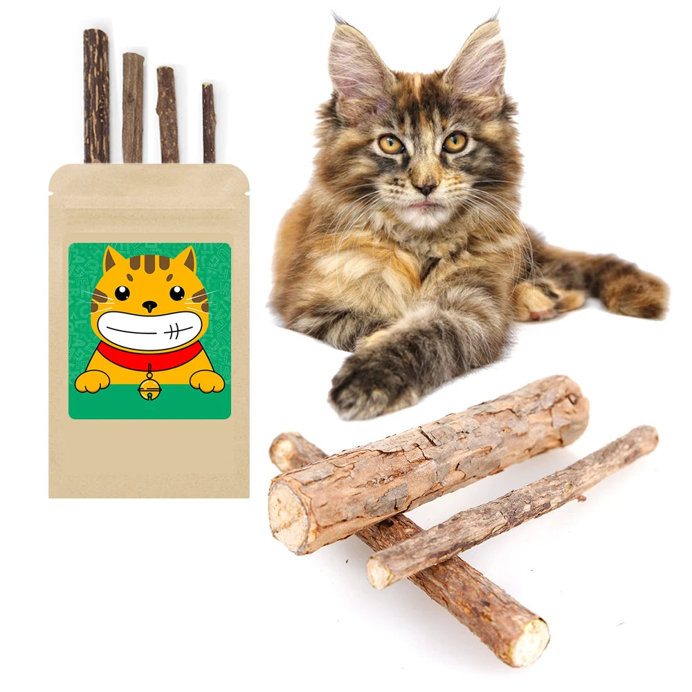 Natural plants Catnip Cat Molar Stick Cleaning Teeth Actinidia Fruit Cat Snacks Sticks Pet Tooth Clean Supplies Cat Products