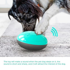 Pet Dog Squeaky Feeding Toy Soft Cute Pet Ball Toy Squeak Interactive Dog Chew Toy Slow Feed Ball for Small Medium Large Dog