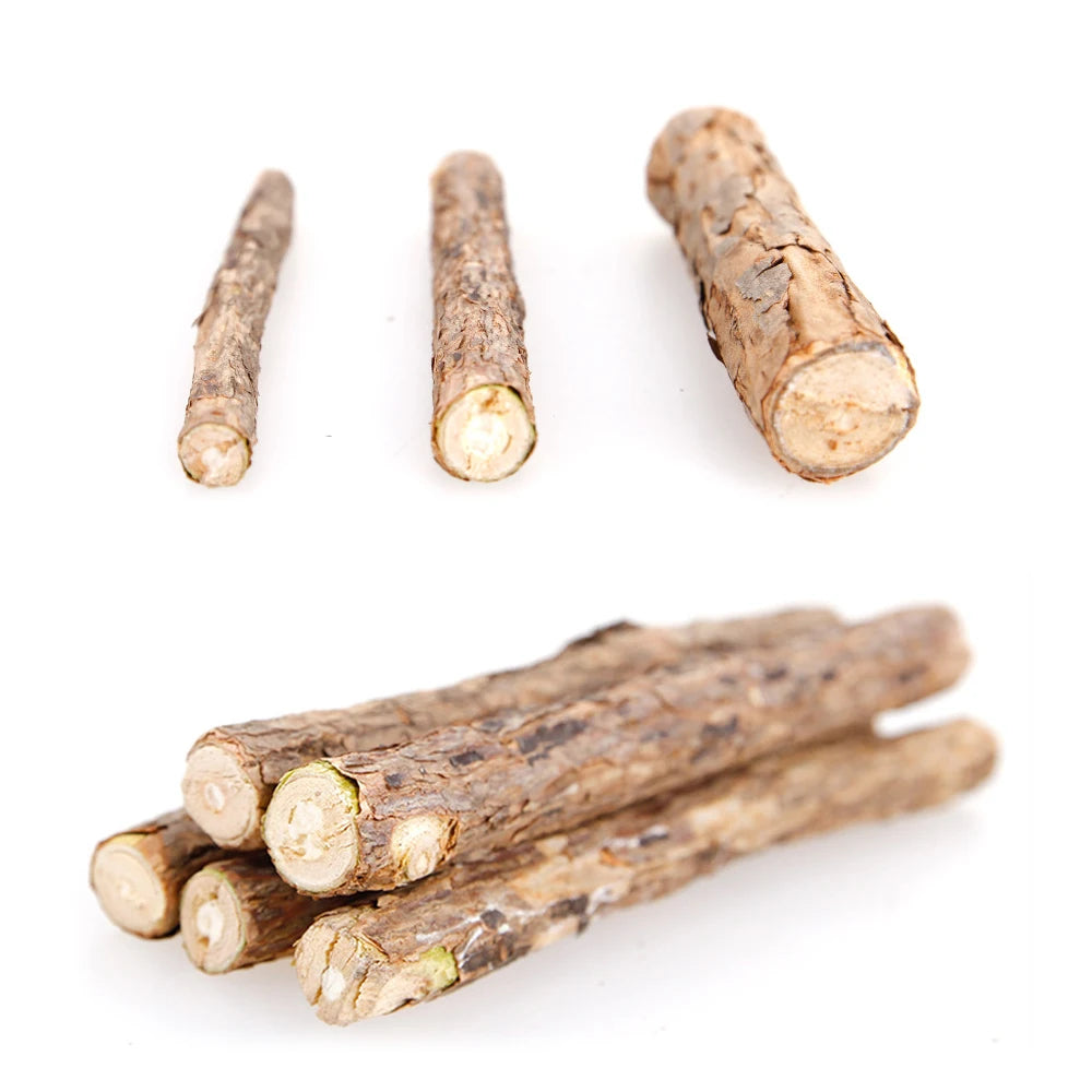 Natural plants Catnip Cat Molar Stick Cleaning Teeth Actinidia Fruit Cat Snacks Sticks Pet Tooth Clean Supplies Cat Products