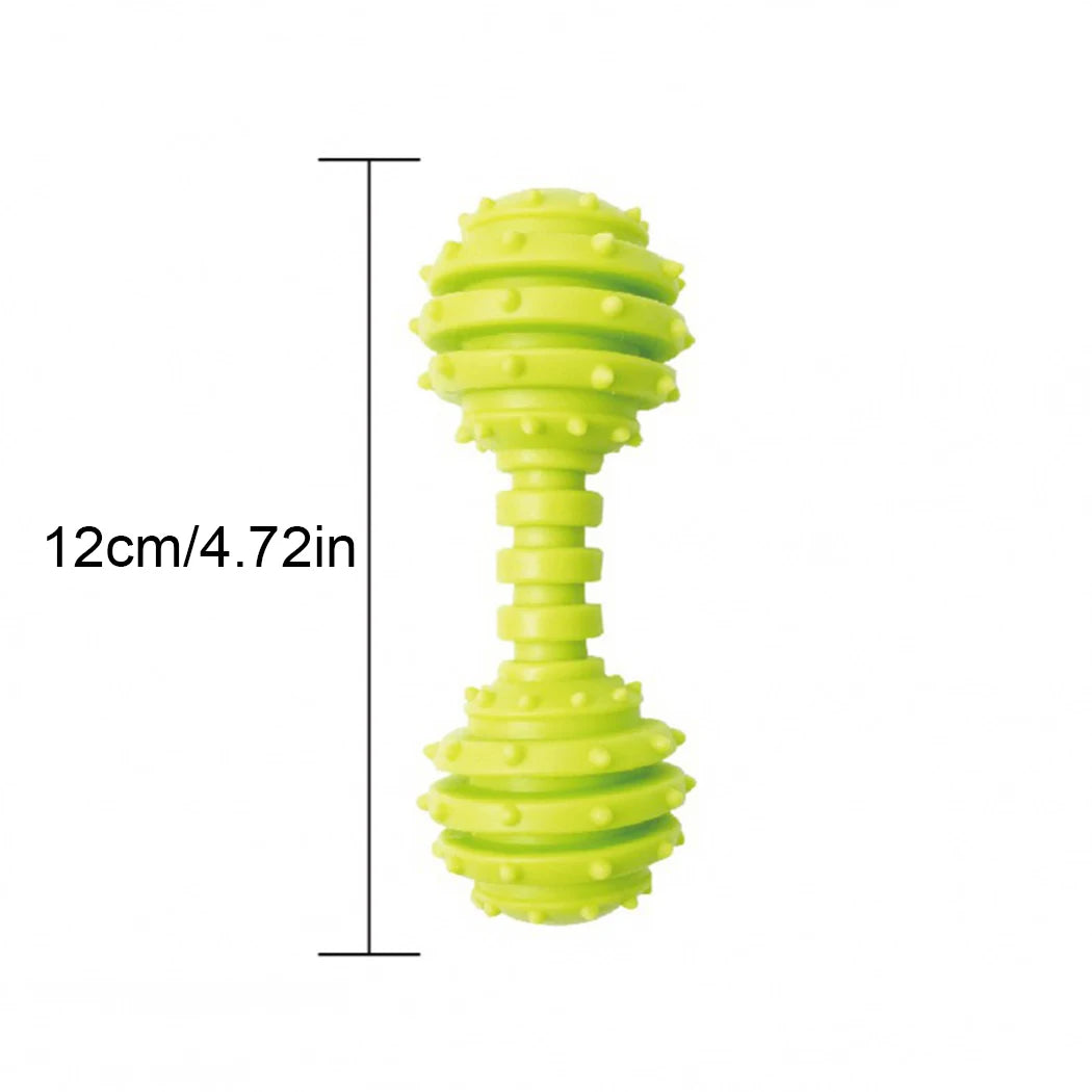 1pcs Random Color Dog Toys Rubber Barbell Dog Toy Bite-proof Creative Pet Dog Chewing Toy Puppy Teething Toys for Dogs