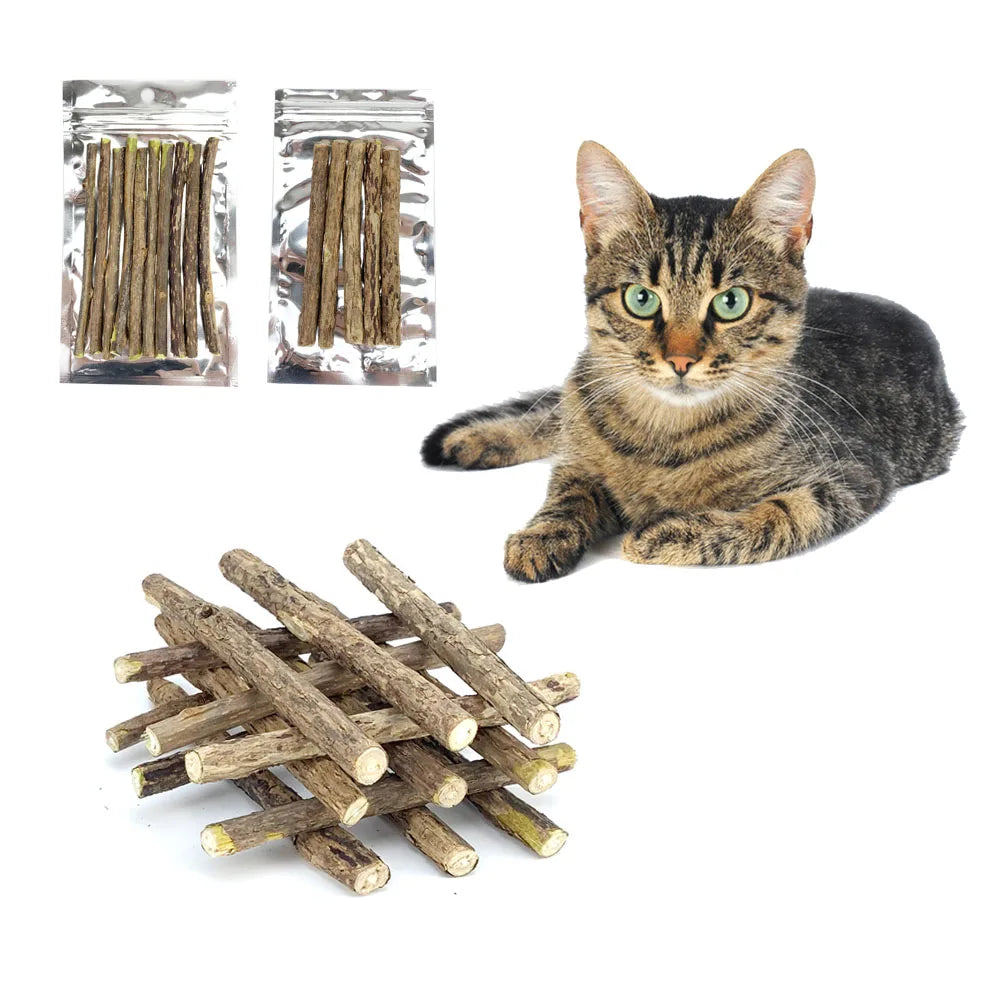 Natural plants Catnip Cat Molar Stick Cleaning Teeth Actinidia Fruit Cat Snacks Sticks Pet Tooth Clean Supplies Cat Products