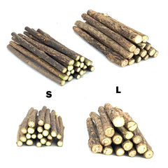 Natural plants Catnip Cat Molar Stick Cleaning Teeth Actinidia Fruit Cat Snacks Sticks Pet Tooth Clean Supplies Cat Products