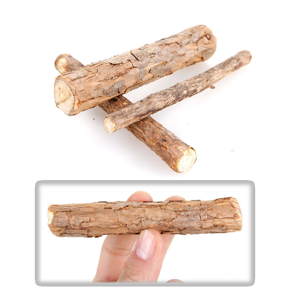 Natural plants Catnip Cat Molar Stick Cleaning Teeth Actinidia Fruit Cat Snacks Sticks Pet Tooth Clean Supplies Cat Products