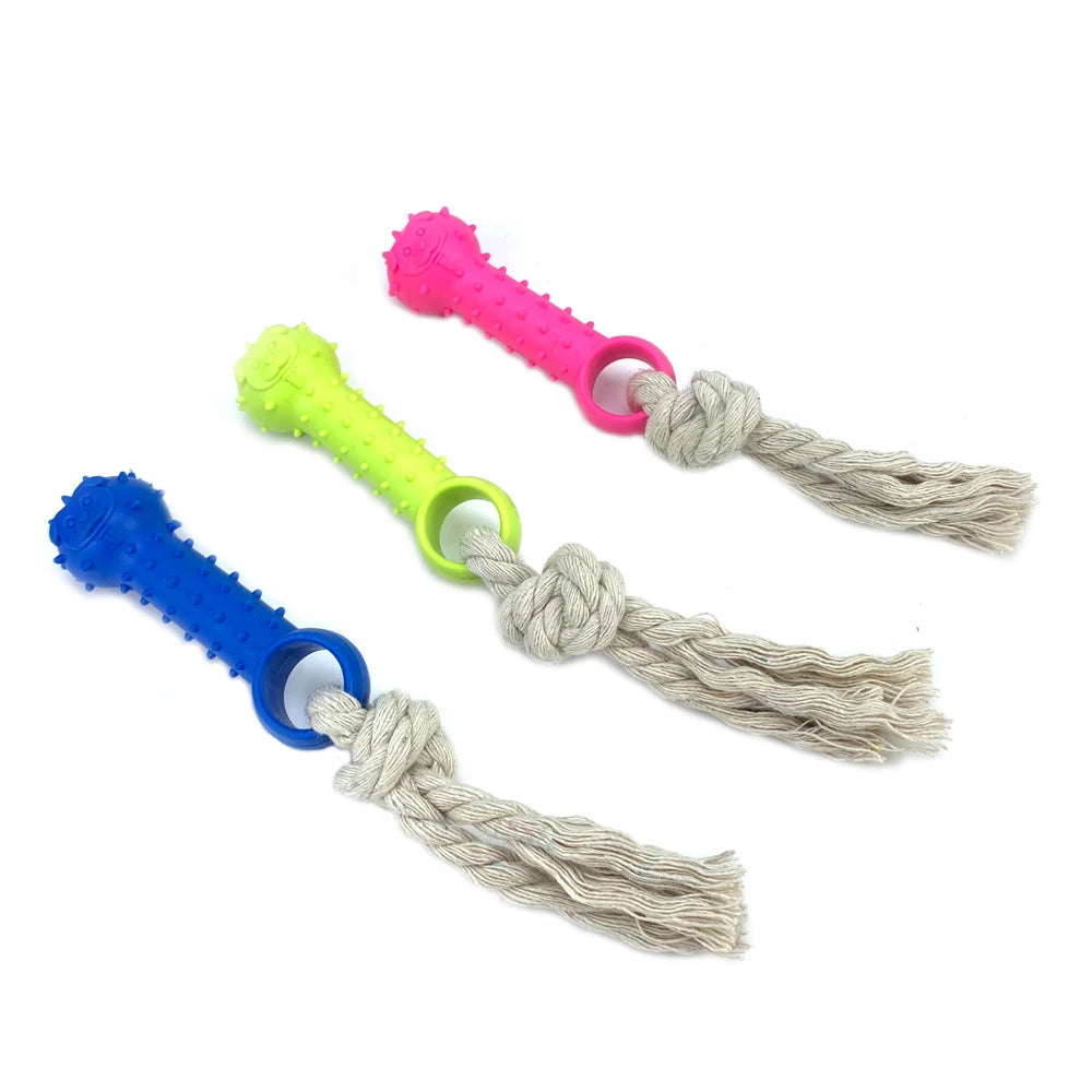 Double Interactive Dog Chew Toys Dogs Rubber Indestructible Dog Games Play Toy For Small Medium TPR Supplies Pets Accessories