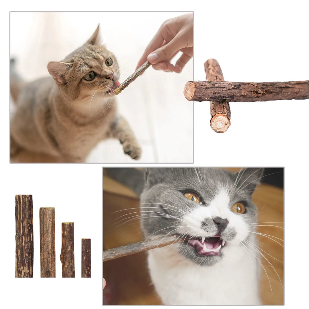 Natural plants Catnip Cat Molar Stick Cleaning Teeth Actinidia Fruit Cat Snacks Sticks Pet Tooth Clean Supplies Cat Products