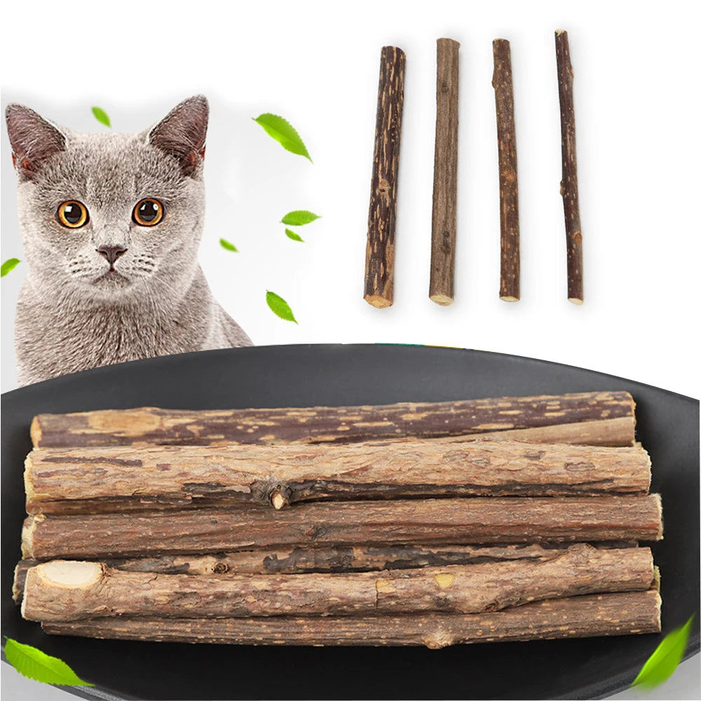 Natural plants Catnip Cat Molar Stick Cleaning Teeth Actinidia Fruit Cat Snacks Sticks Pet Tooth Clean Supplies Cat Products