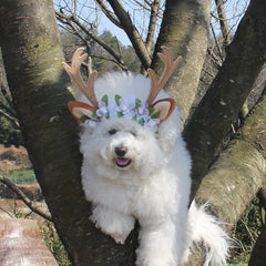 Cute Christmas Reindeer Horn Pet Headband Hat Costume Dog Puppy Cat Cosplay Party Pet Hair Decorations Supplies Headwear