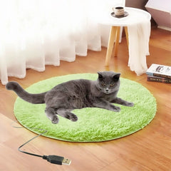 6W 5V 2A USB Pet Electric Blanket Plush Pad Blanket for CAT Electric Heated Pad Anti-scratch Dog Heating Mat Sleeping Bed