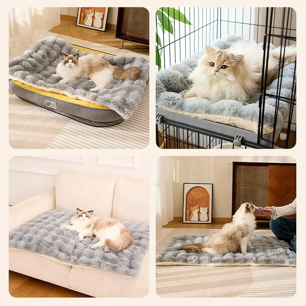 Cat Mat Bed Plush Pet Couch Sleep Pad Winter Beds Pet Cat Floor Pad Soft Sleep Pad for Dog Kitten Soft Sleeping Dog Travel Mat