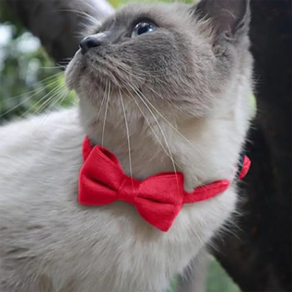 Adjustable Pet Collar With Bell And Stylish Bow Tie, Breakaway Cat Collar, Cat Decoration Necklace, Perfect For Cats And Puppies