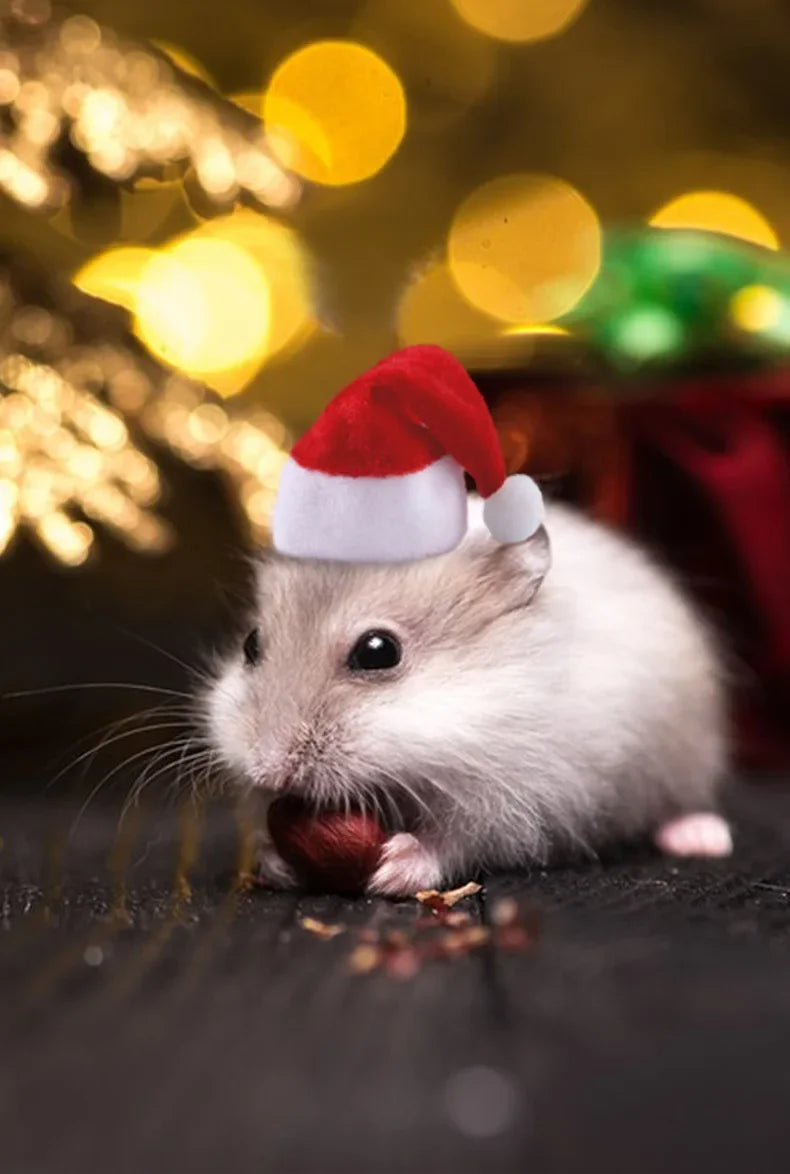 Hamster Guinea Pig Christmas Cap Costume Mini Small Pet Hat Xmas Headwear Pet Outfits for Chinchilla Rabbit Hedgehog