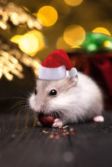 Hamster Guinea Pig Christmas Cap Costume Mini Small Pet Hat Xmas Headwear Pet Outfits for Chinchilla Rabbit Hedgehog