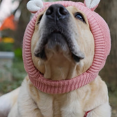 Dog hat Labrador golden retriever funny headgear warm pet puppy dog ears in winter