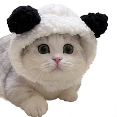 Kitty Kitty Hat Chick Pet Headgear Panda Bear Dog Hat Headgear Drag Hat Internet Celebrity Cross-border