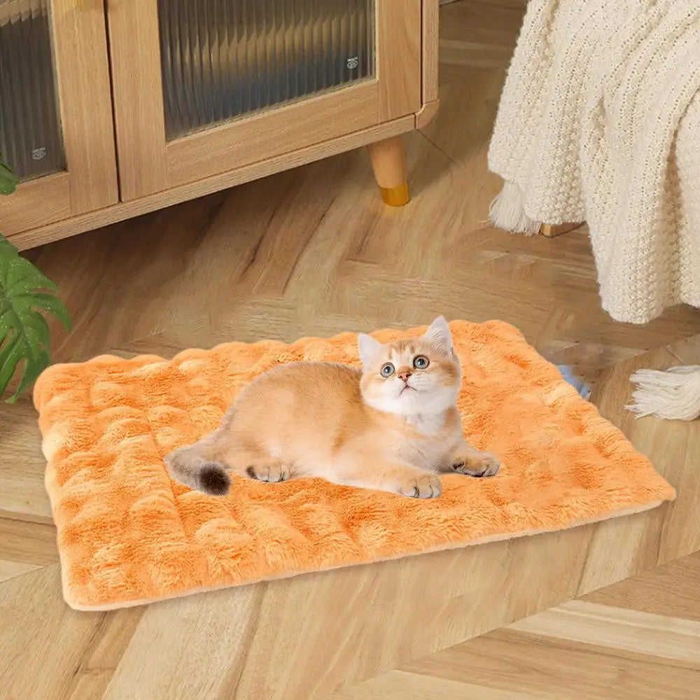 Cat Mat Bed Plush Pet Couch Sleep Pad Winter Beds Pet Cat Floor Pad Soft Sleep Pad for Dog Kitten Soft Sleeping Dog Travel Mat