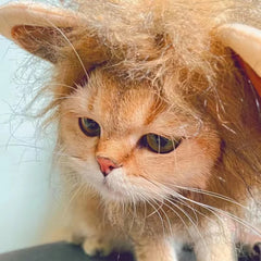 Funny Pets Clothes Cap Cute Cat Wig Lion Mane Costume Cosplay Kitten Dog Hat with Ears Fancy Party Supplies