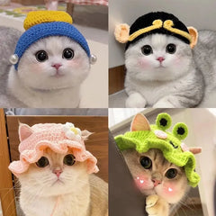 Pet Pet Cat Crossdressing Dog Frog Hat Head Cover Cat Flower Cute Lotus Leaf Maid New Year Woolen Hat