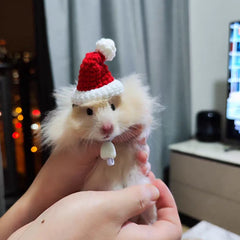 Hand Woven Pet Christmas Hat Decoration Hamster Clothes Cap Rabbit Hat Plush Santa Hat Xmas Decorations For Small Pet Supplies