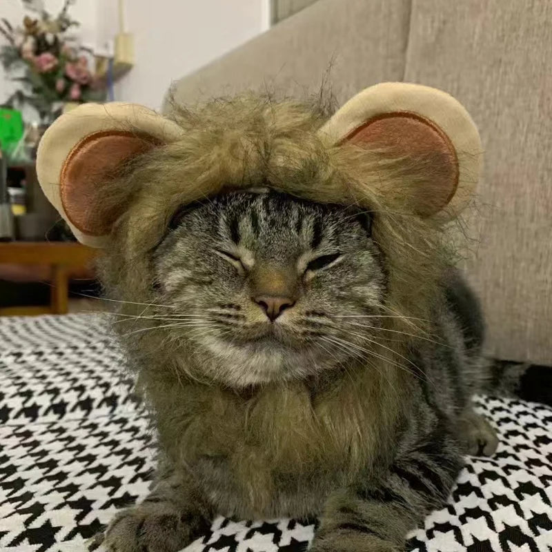 Funny Pets Clothes Cap Cute Cat Wig Lion Mane Costume Cosplay Kitten Dog Hat with Ears Fancy Party Supplies