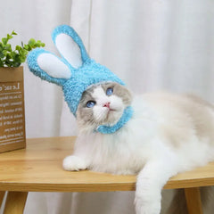 Cat And Rabbit Headgear, Dog Teddy Bear Transformed Into Headgear Cat And Rabbit Ears, Internet Famous Pet Hat