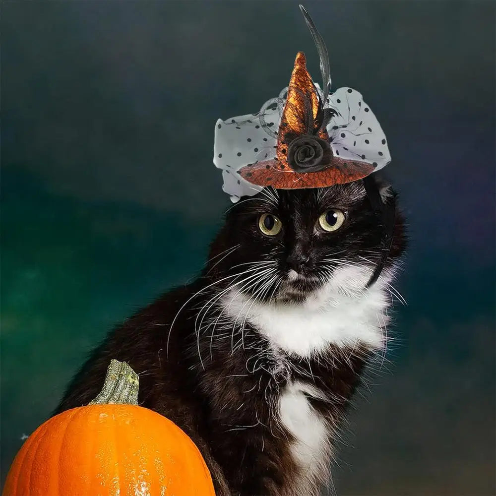 Cat Witch Hat Cosplay Halloween Outfits Witch Hat Photography Props Decorative Pet Cat Halloween Apparel Dog Cosplay Accessories