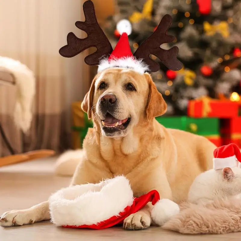 Christmas Pet Headband Elk Reindeer Antlers Headwear Santa Hat Cute Christmas Cat Pet Hoop Headgear Child For  Christmas Parties