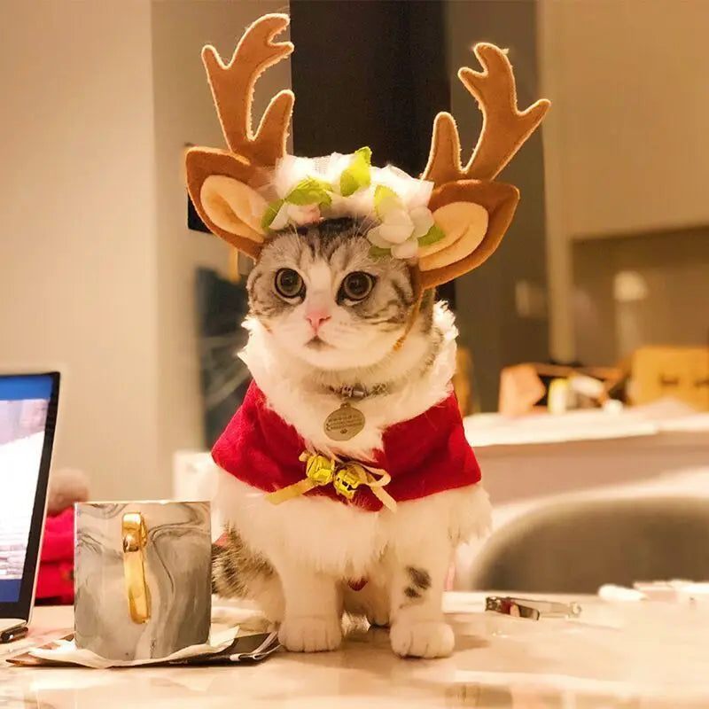 Christmas Pet Cosplay Pet Reindeer Cloak Antlers Clothes Cloak Dog Hat Cat Warm Fairy Christmas New Year Pet Cat