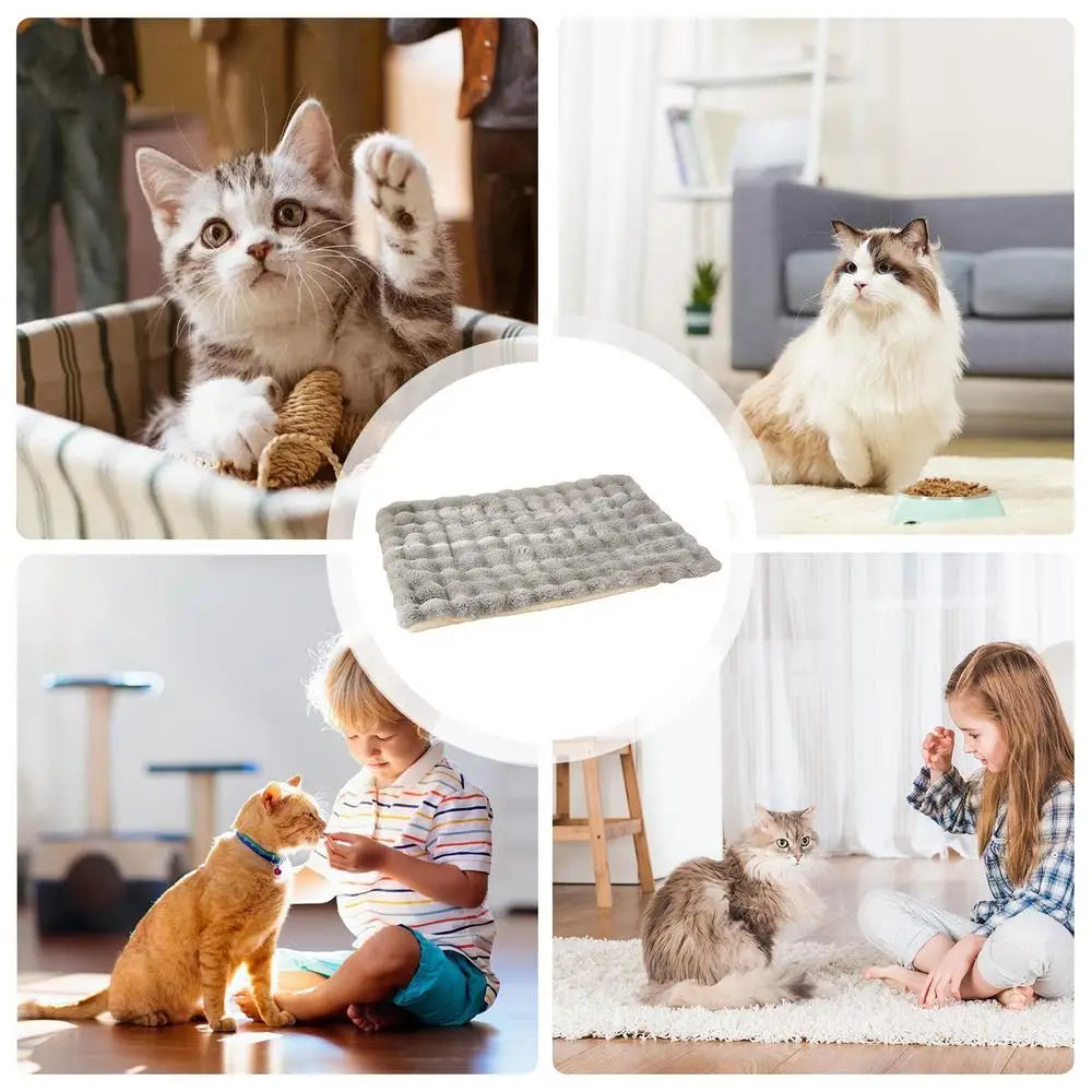 Cat Mat Bed Plush Pet Couch Sleep Pad Winter Beds Pet Cat Floor Pad Soft Sleep Pad for Dog Kitten Soft Sleeping Dog Travel Mat