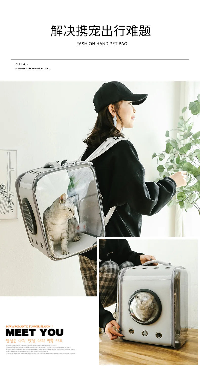 Portable Expandable Foldable Oxford Travel Luxury Small Cats Dogs Pet Carriers Plastic Pet Carrier Box Travel