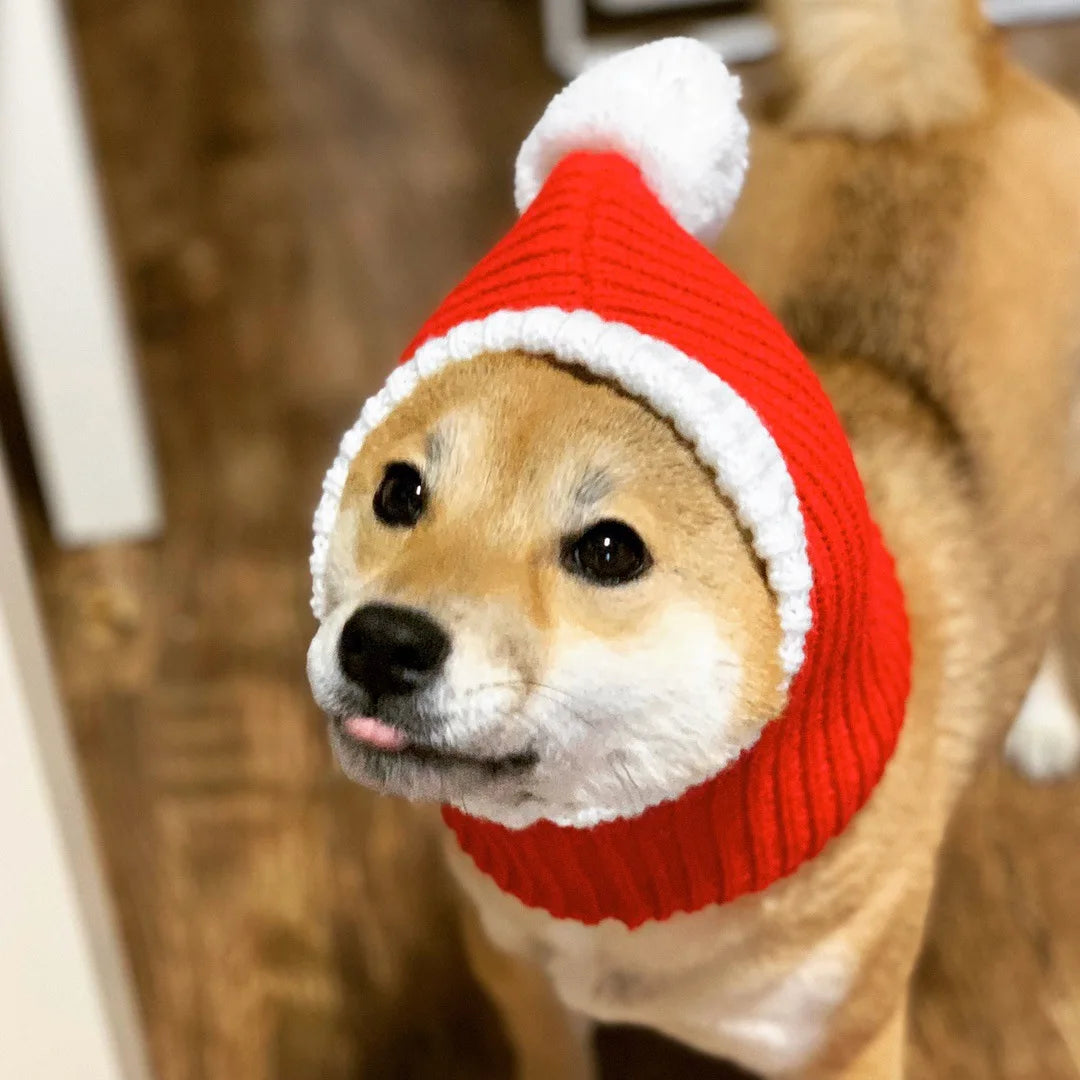 Pet Hat Winter Warm Headgear Pet Christmas Hat Funny Costume Pet Accessories for Small Medium Large Dogs Dress Up Dog Supplies