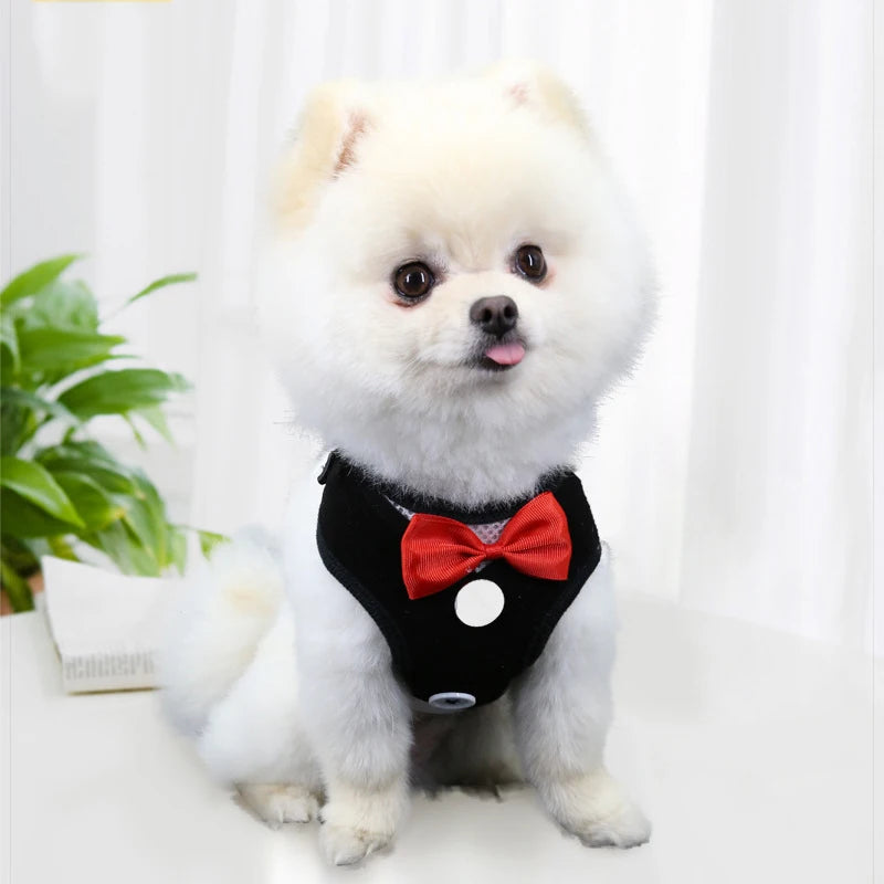 Elegant Bow Dog Collars Necktie Traction Rope Christmas Pet Harness for Small Medium Dogs Cat Chest Strap Dog Accessories Gifts