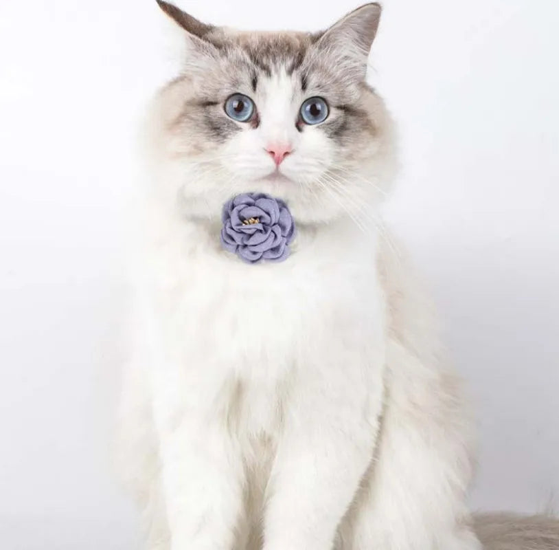 Cat Collar Adjustable Bow Tie Cat Flower Collar Safety Button Tie Necklace Puppy and Cat Gift Pet Accessories Puppy Collar