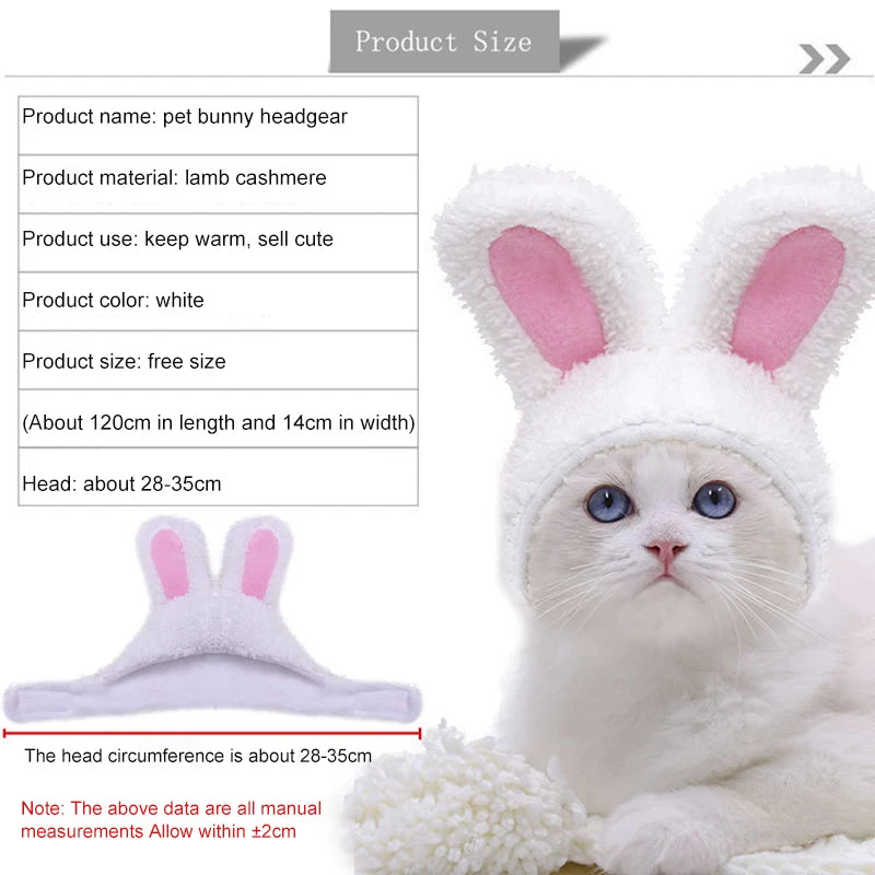 Cat And Rabbit Headgear, Dog Teddy Bear Transformed Into Headgear Cat And Rabbit Ears, Internet Famous Pet Hat