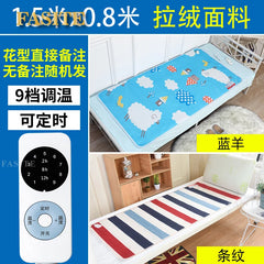 Electric Blanket Double 220v Queen Size Pet Bed Warmer Electric Aesthetic Thermal Blanket Body Manta Electrica Cama Bed Linings