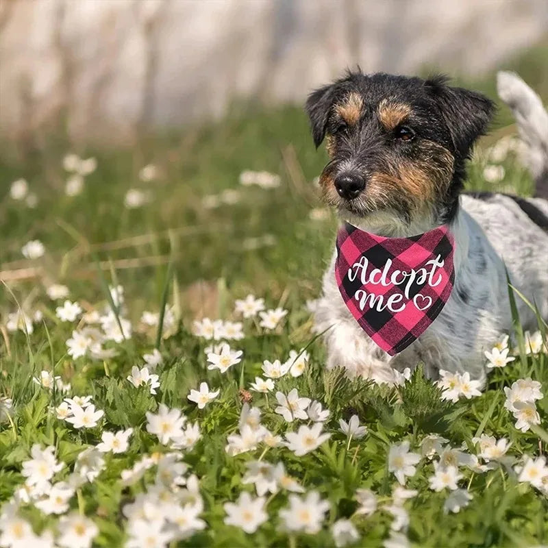 Dog Bandanas Adopt Me Plaid Adjustable Bibs for Dogs Cat Pet Scarf Accessories