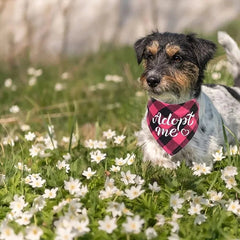 Dog Bandanas Adopt Me Plaid Adjustable Bibs for Dogs Cat Pet Scarf Accessories