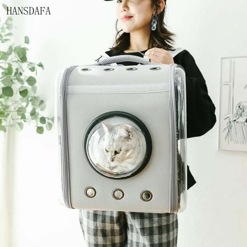 Portable Expandable Foldable Oxford Travel Luxury Small Cats Dogs Pet Carriers Plastic Pet Carrier Box Travel