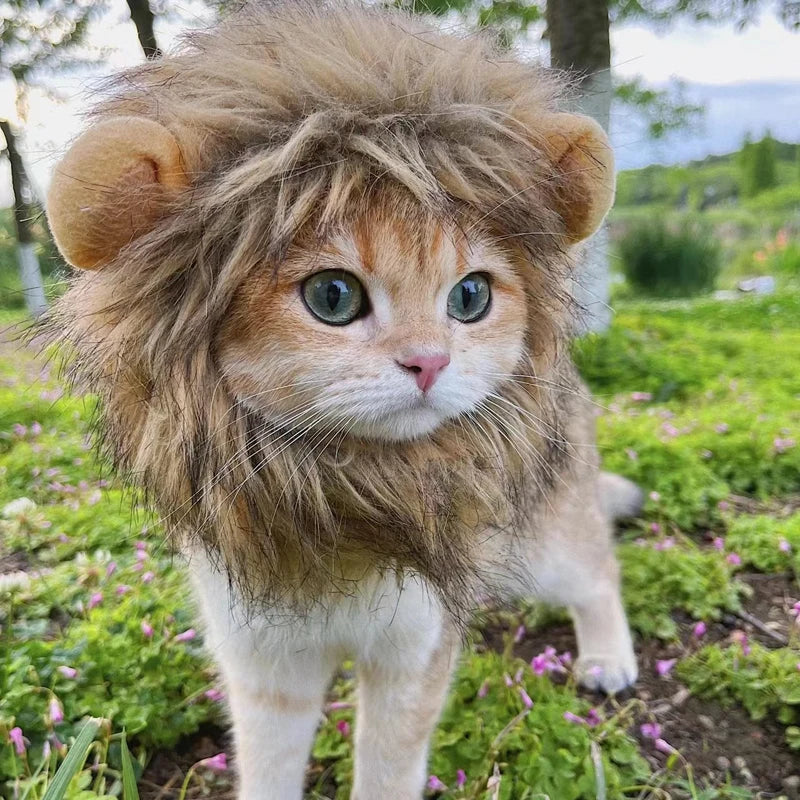 Funny Pets Clothes Cap Cute Cat Wig Lion Mane Costume Cosplay Kitten Dog Hat with Ears Fancy Party Supplies