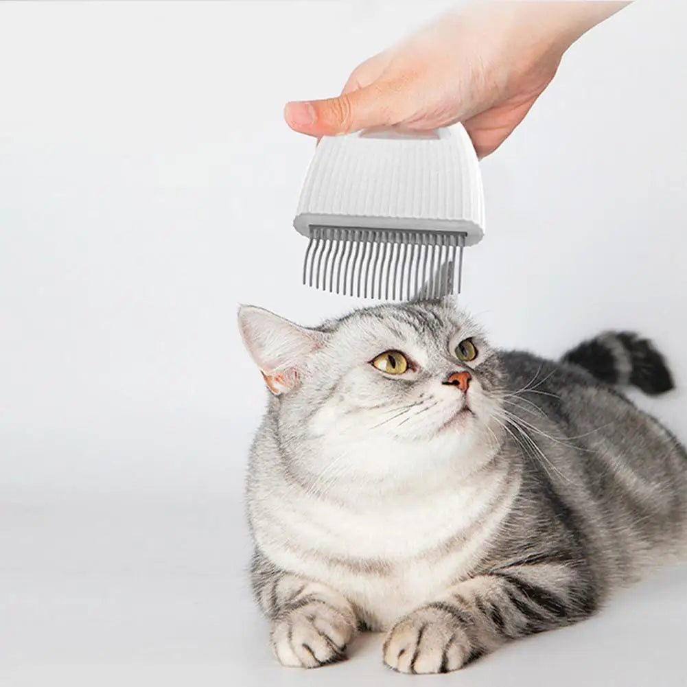 Pet Comb  Harmless   Cat Grooming Brush Cute Shell Puppy Rabbit Combs