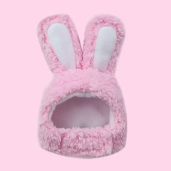 Cat And Rabbit Headgear, Dog Teddy Bear Transformed Into Headgear Cat And Rabbit Ears, Internet Famous Pet Hat