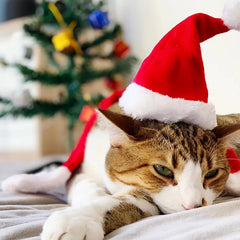 Cute Christmas Cap Pet Cat Dog Santa Claus Hat Christmas Small Plush Santa Hat Noel Navidad Gift Xmas New Year Decorations