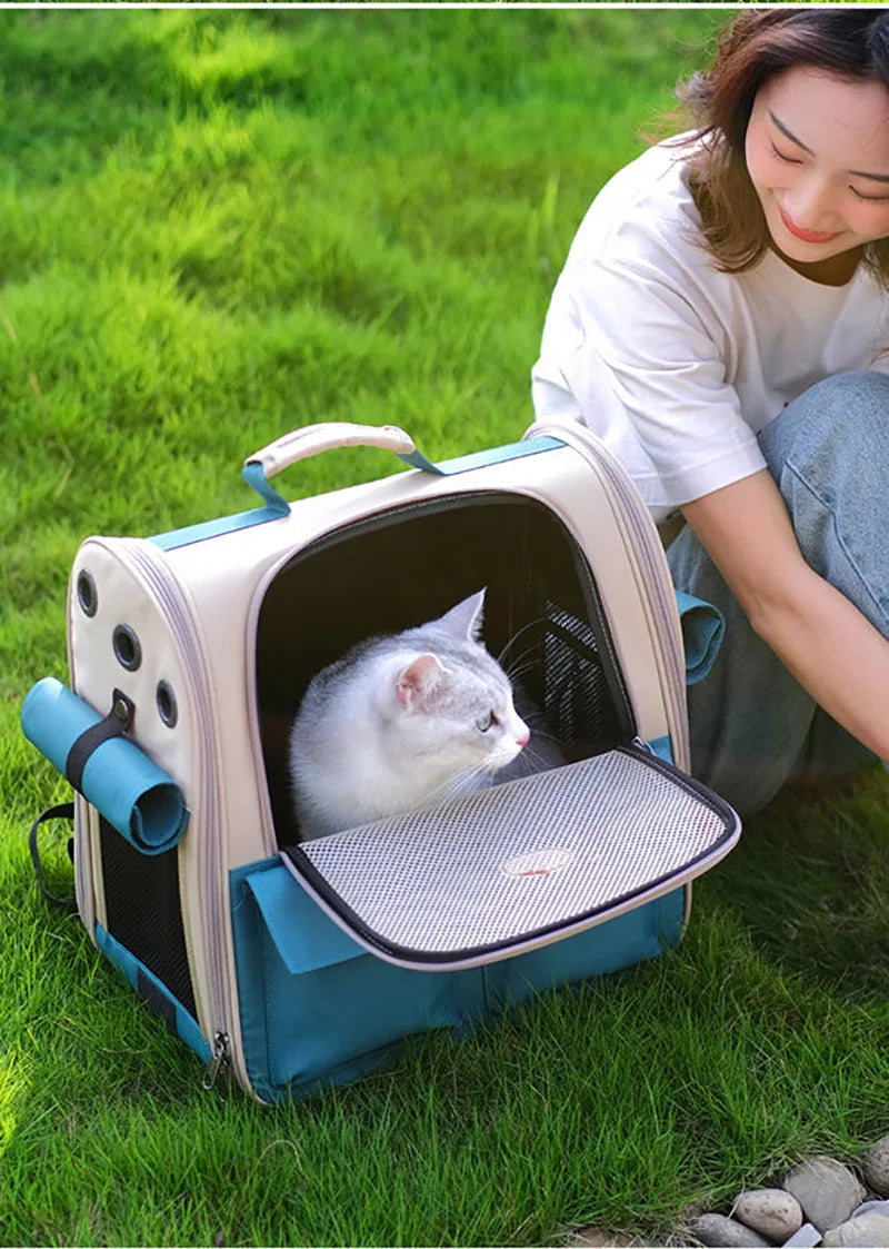 Pet Cat Backpack Portable Small Dogs Outdoor Carrier Cat Travel Bag Foldable Ventilated Design Large Cats Dog Backpack Carrier