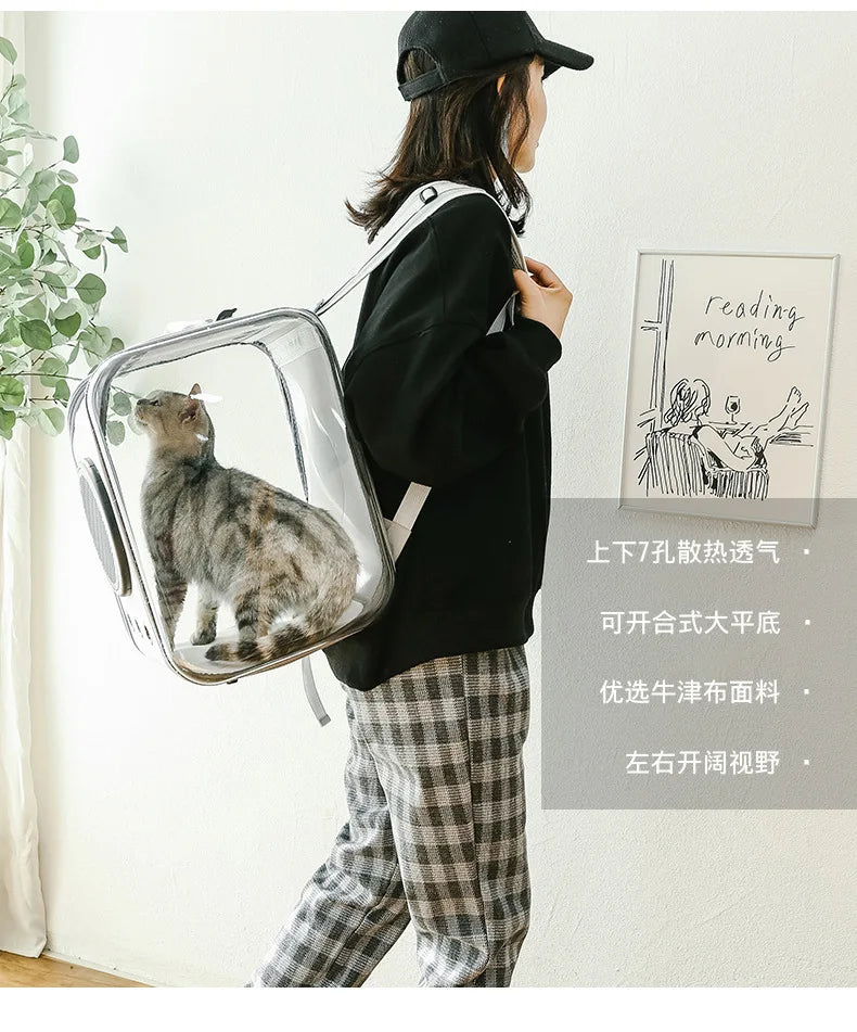 Portable Expandable Foldable Oxford Travel Luxury Small Cats Dogs Pet Carriers Plastic Pet Carrier Box Travel