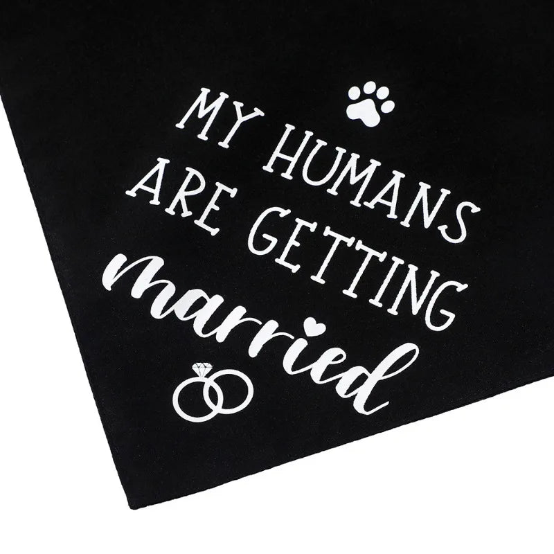 Best Dog of Honor Bandana Scarf Wedding Engagement Bridal Shower Bride To Be Bachelorette Hen Party Decoration Photo Shoot Gift