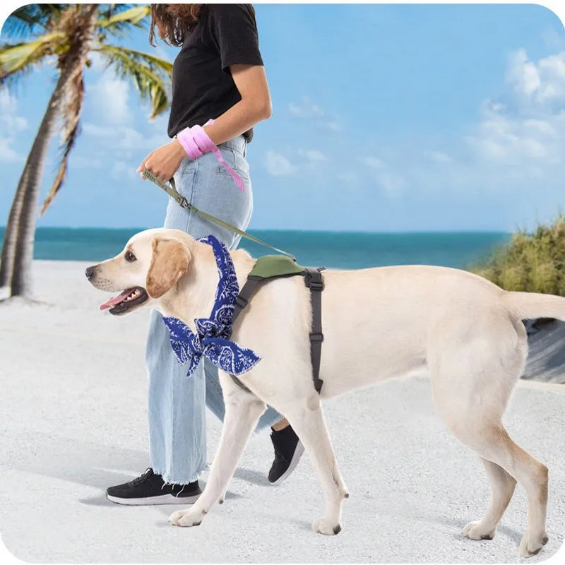 Cute Print Summer Dog Cooling Collar Pet Dog Ice Scarf Pet Cool Bandana Adjustable Pet Outdoor Prevent Heatstrok Dog Accessories