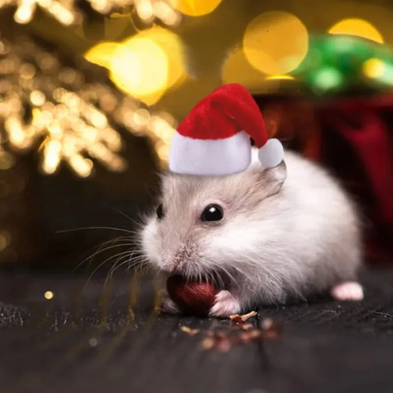 Hamster Guinea Pig Christmas Cap Costume Mini Small Pet Hat Xmas Headwear Pet Outfits for Chinchilla Rabbit Hedgehog