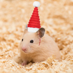 Dog Party Accessory Hat Christmas Cap Pet Outfits Guinea Pig Accessories Hamster