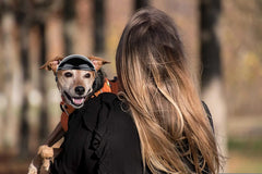 ATUBAN Small Pet Dog Helmet with Ear Hole Motorcycle Dog Helmet Multi-Sport Dog Hard Hat Outdoor Bike Doggy Cap for Dogs and Cat