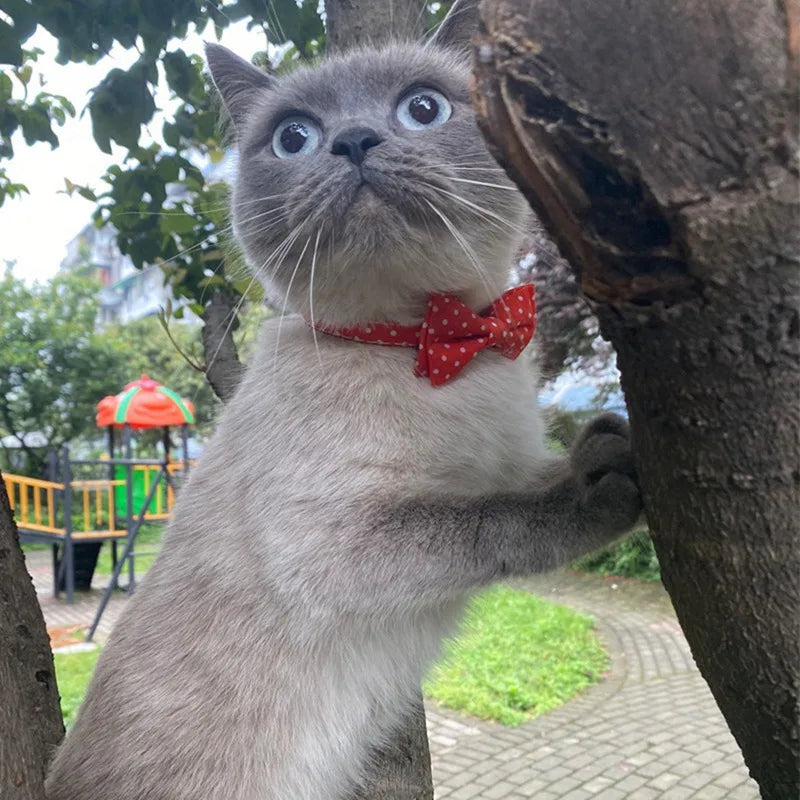 Pet Cat Dog Collar Christmas Snowflake Red Bow Adjustable Pet Bowknot Necktie Collar Stripe and Flag Bow Tie Dropship