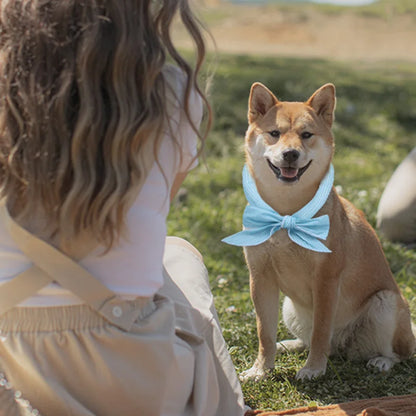 Cute Print Summer Dog Cooling Collar Pet Dog Ice Scarf Pet Cool Bandana Adjustable Pet Outdoor Prevent Heatstrok Dog Accessories